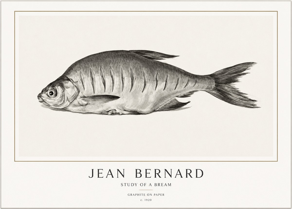 Jean Bernard Study of a Bream No1 - Plakát