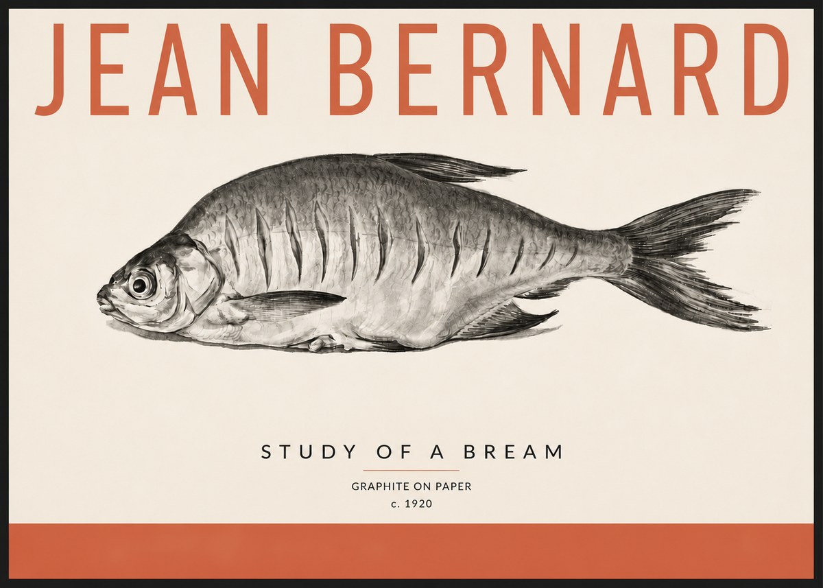 Jean Bernard Study of a Bream No4 - Plakát