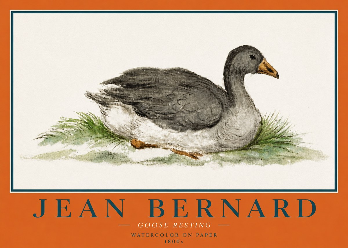 Jean Bernard Goose Resting No4 - Plakát