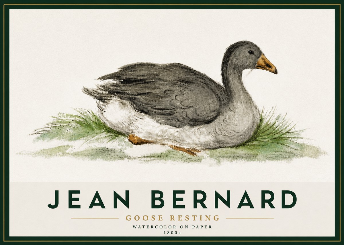 Jean Bernard Goose Resting No5 - Plakát