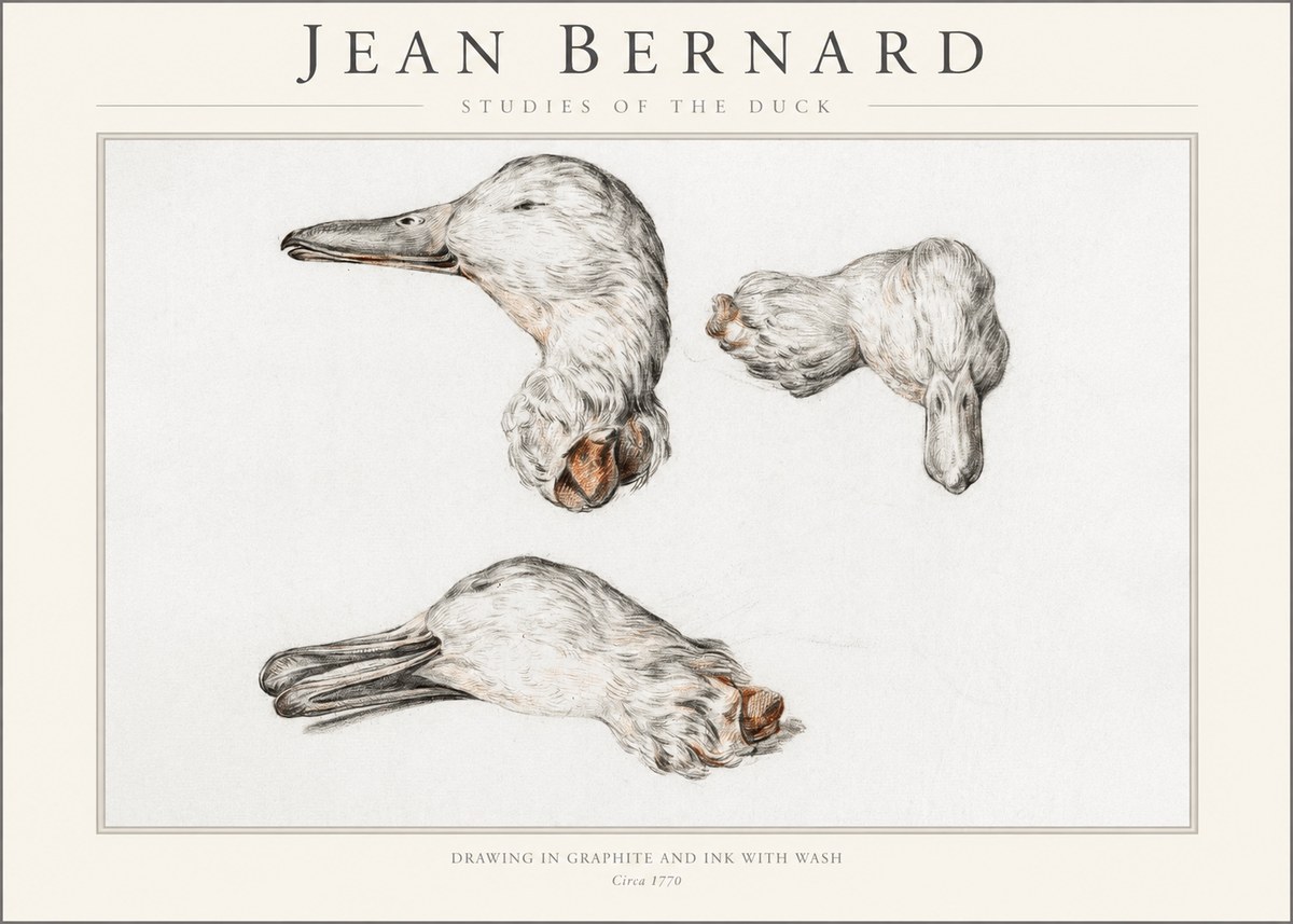 Jean Bernard Studies of the Duck No1 - Plakát