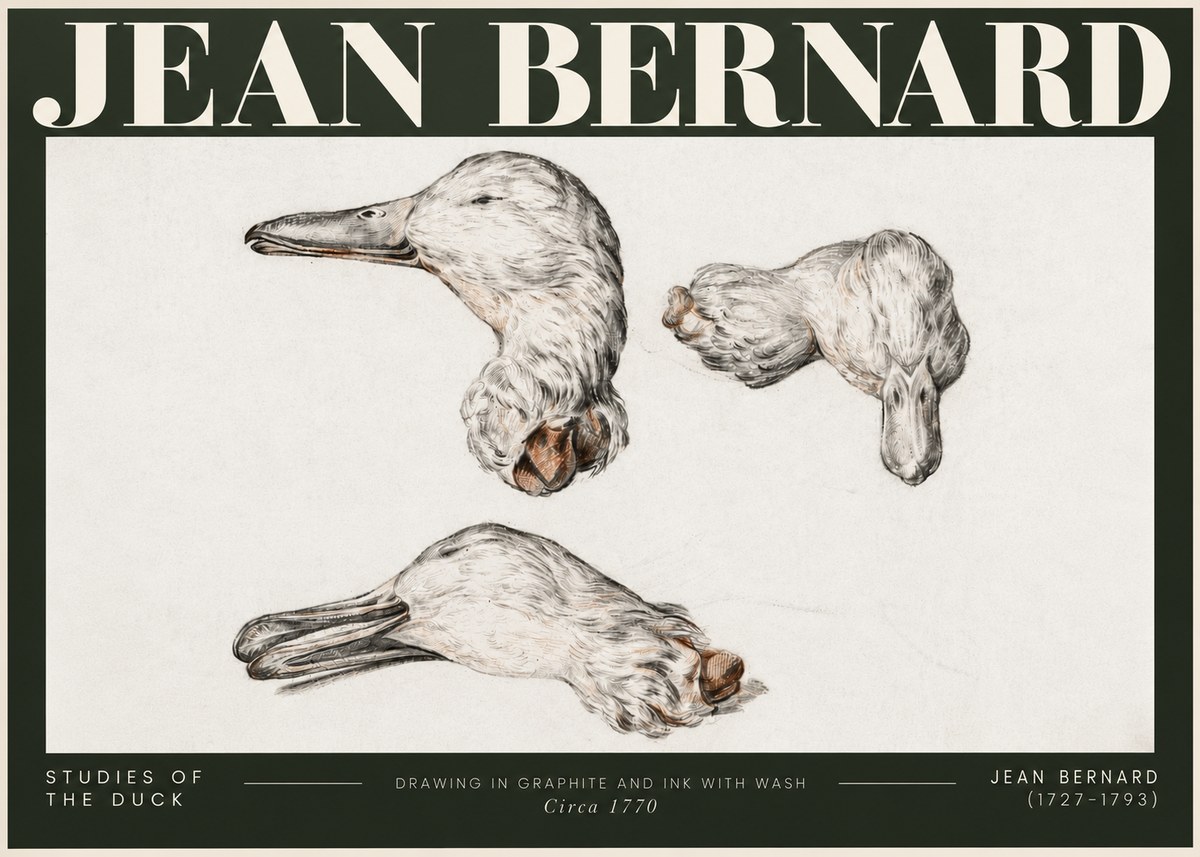 Jean Bernard Studies of the Duck No5 - Plakát