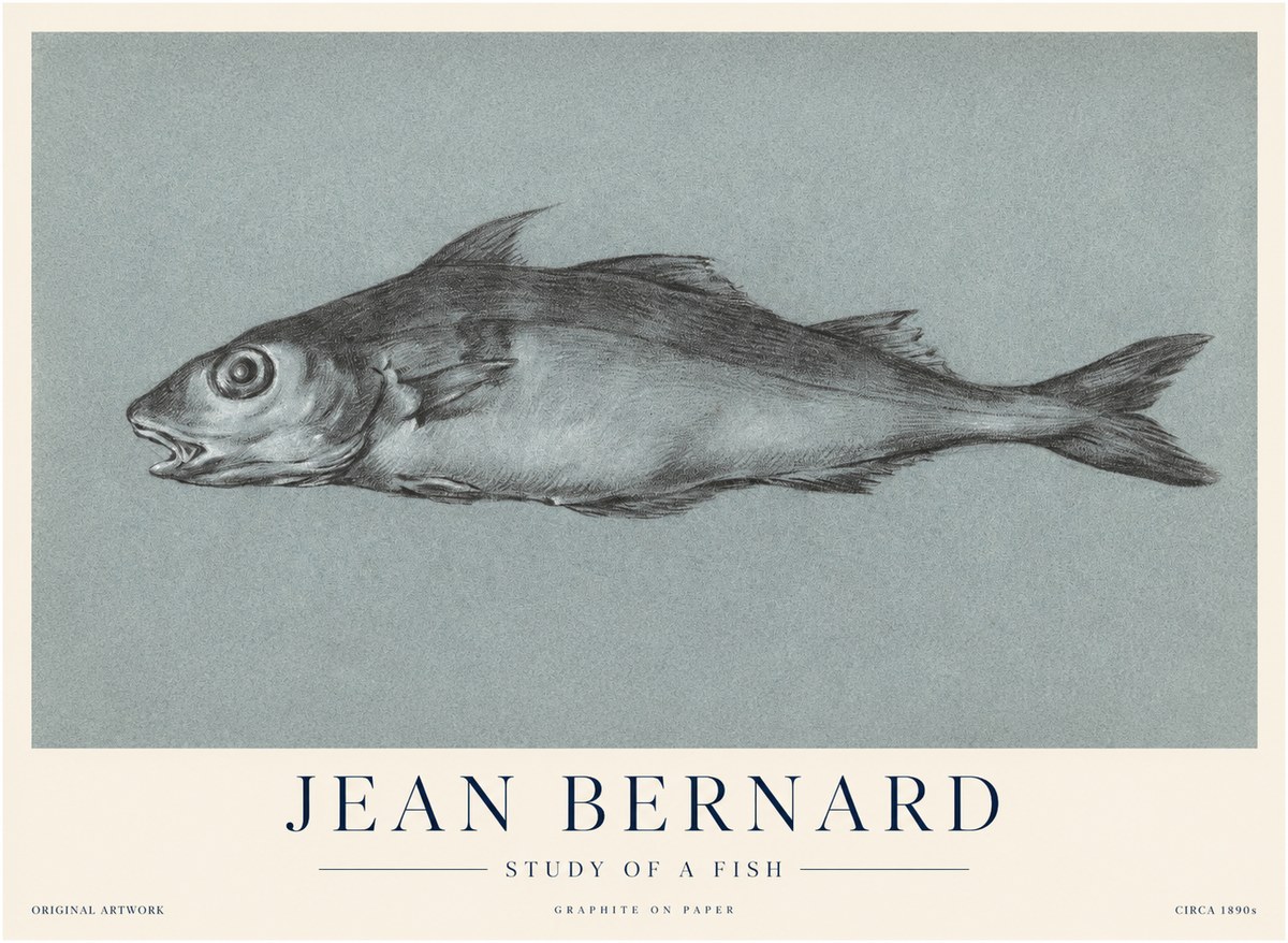 Jean Bernard Fish Study I No4 - Plakát