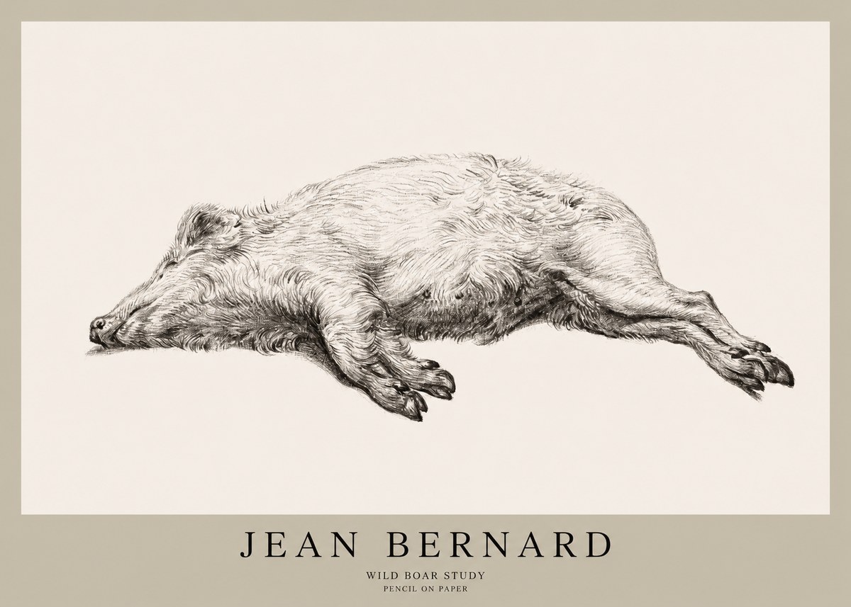 Jean Bernard Wild Boar Study No1 - Plakát