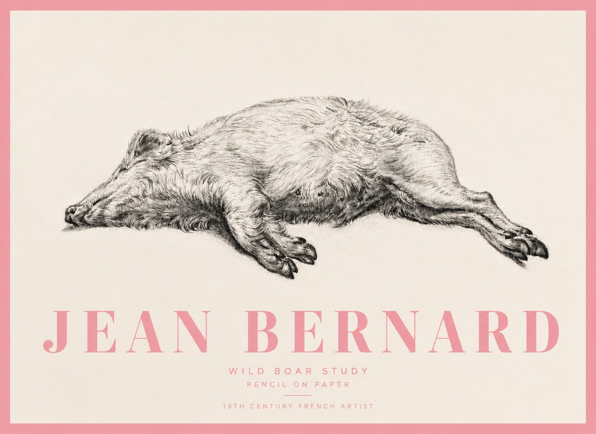 Jean Bernard Wild Boar Study No5 - Plakát