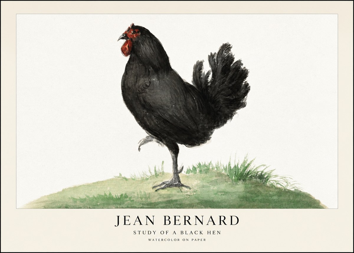 Jean Bernard Study of a Black Hen No1 - Plakát