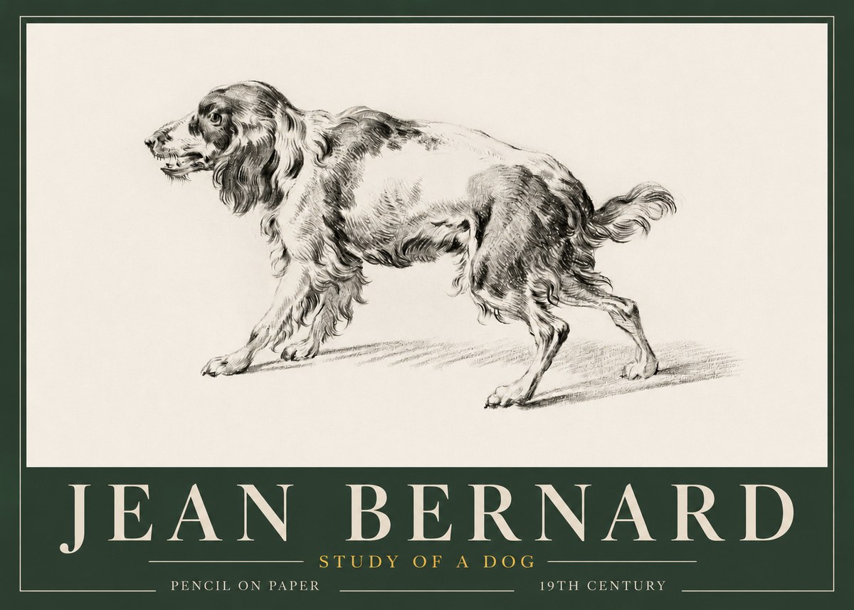 Jean Bernard Study of a Dog V No3 - Plakát
