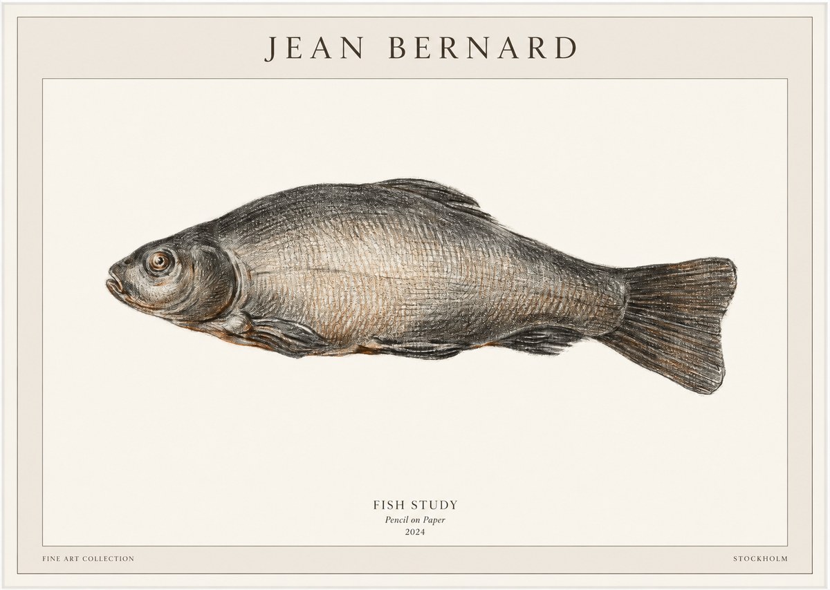Jean Bernard Fish Study IV No1 - Plakát