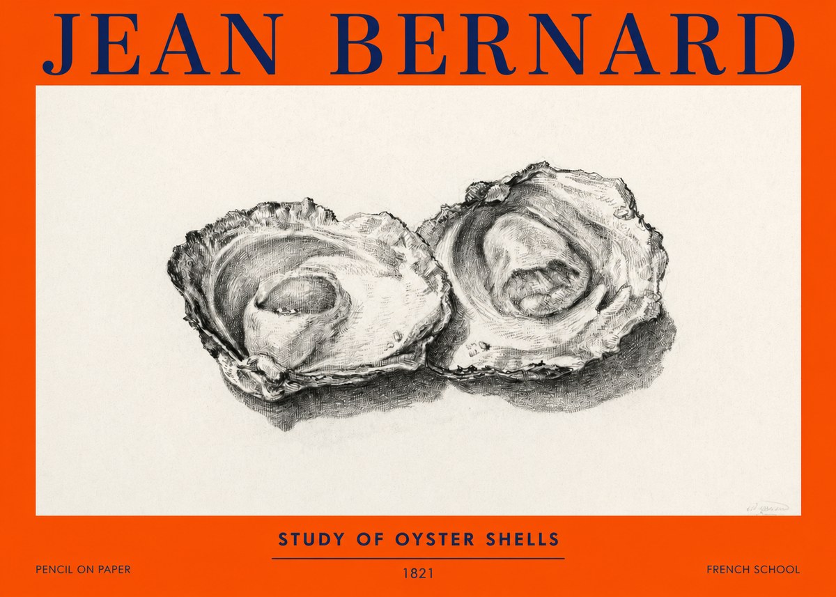 Jean Bernard Study of Oyster Shells No2 - Plakát