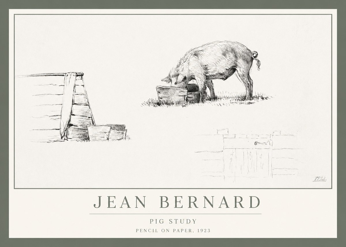 Jean Bernard Pig Study No1 - Plakát