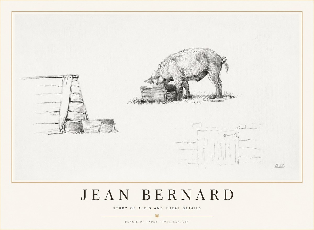 Jean Bernard Pig Study No2 - Plakát