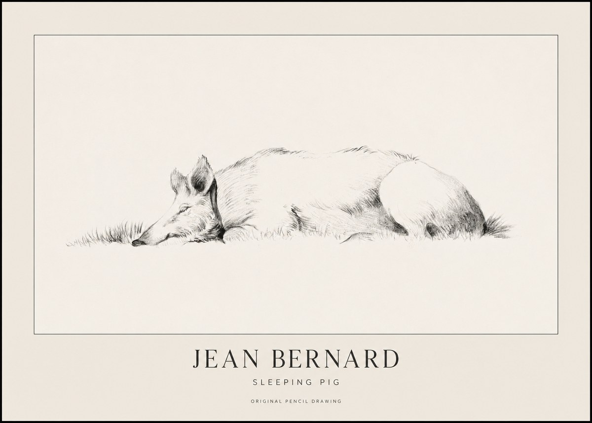 Jean Bernard Sleeping Pig II No1 - Plakát