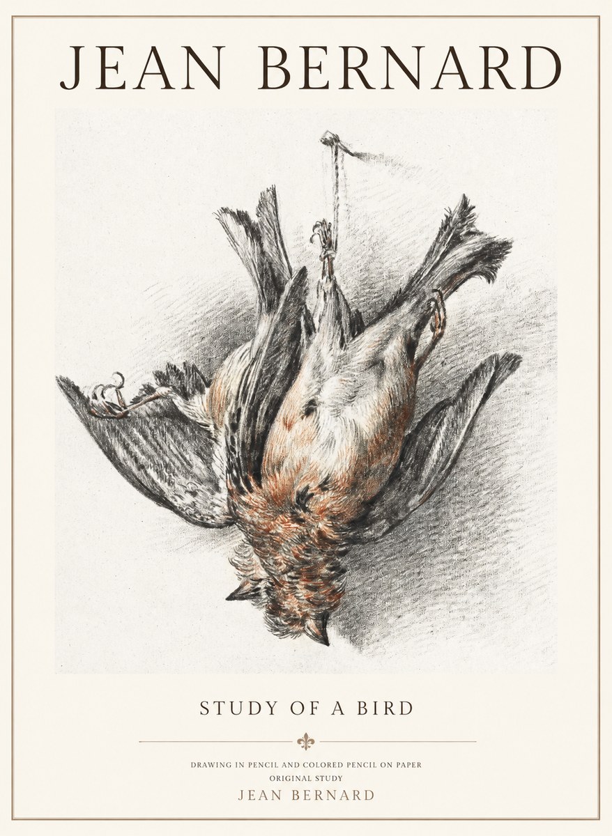 Jean Bernard Study of a Bird IV No3 - Plakát