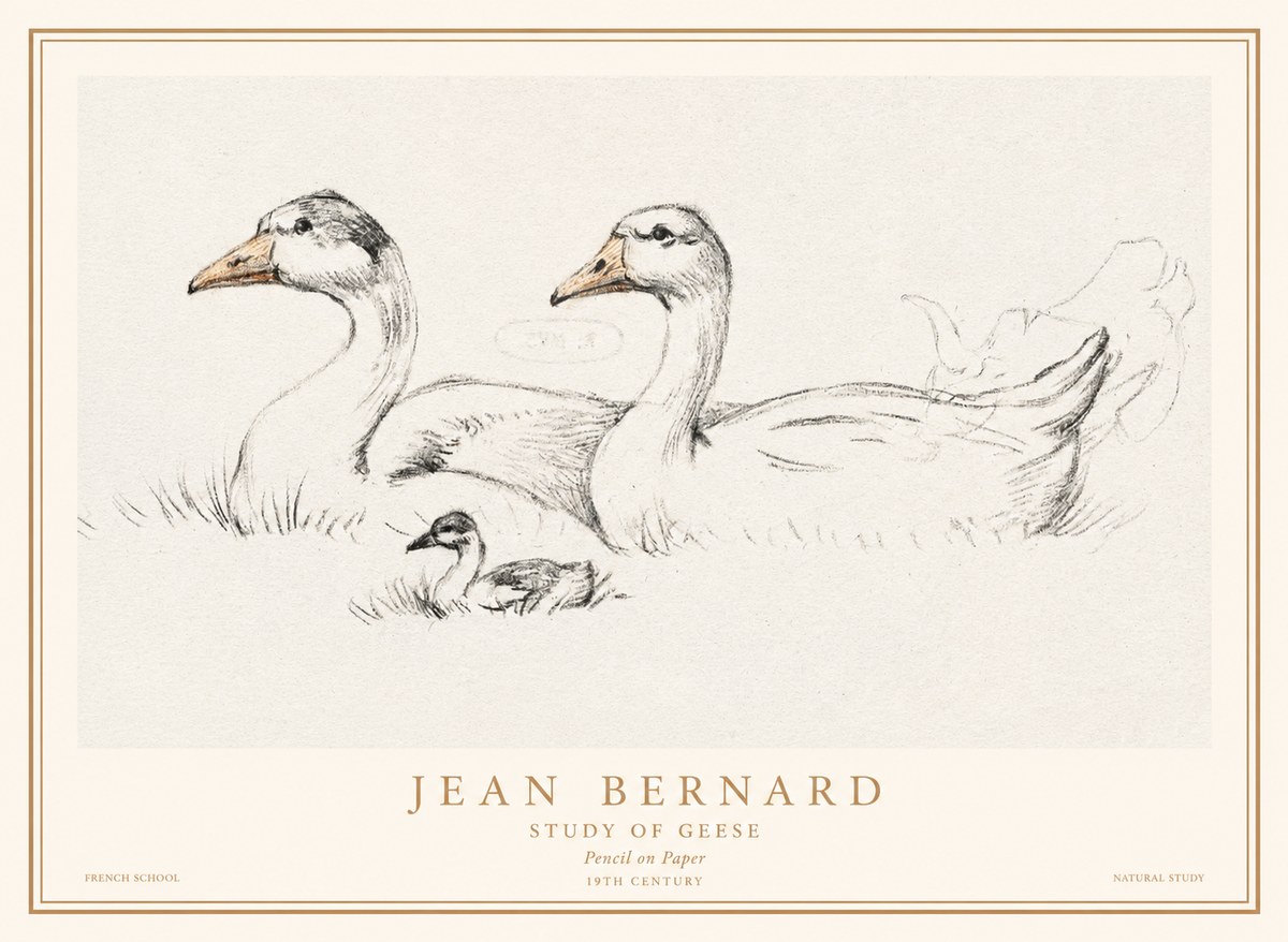 Jean Bernard Study of Geese No1 - Plakát