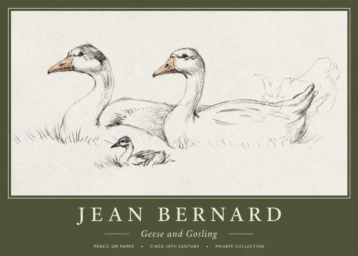 Jean Bernard Study of Geese No2 - Plakát