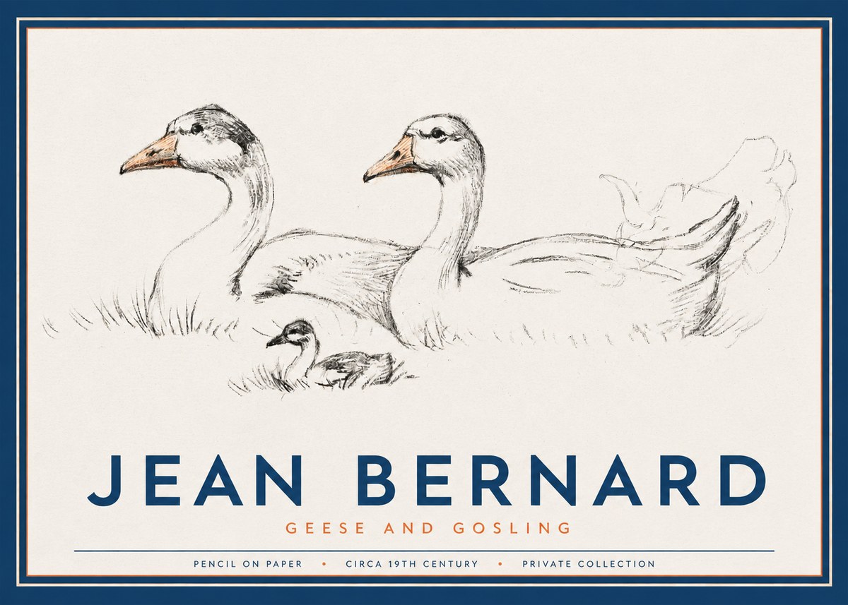 Jean Bernard Study of Geese No3 - Plakát
