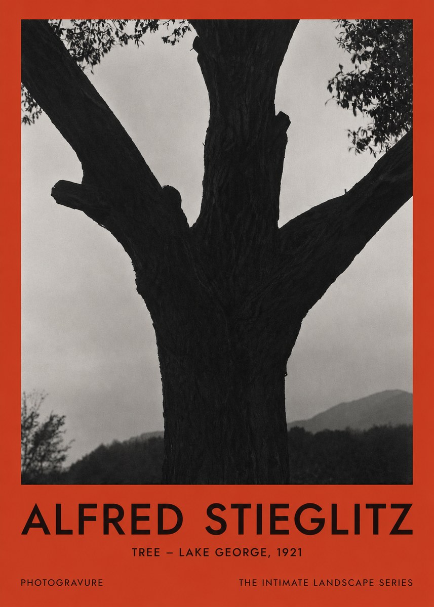 Alfred Stieglitz Tree - Lake George, 1921 No2 - Plakát