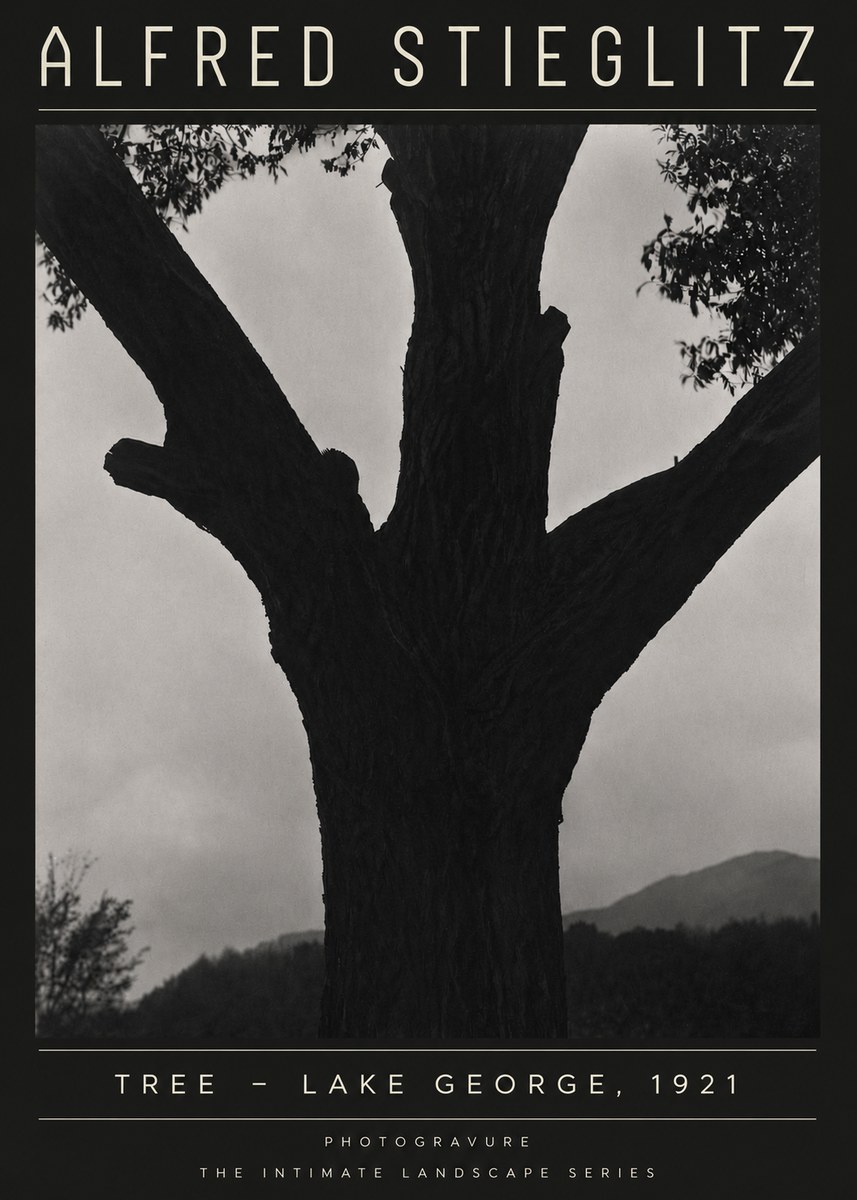 Alfred Stieglitz Tree - Lake George, 1921 No4 - Plakát