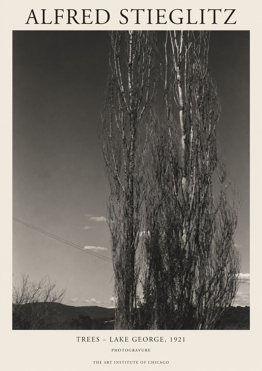 Alfred Stieglitz Trees - Lake George, 1921 No1 - Plakát