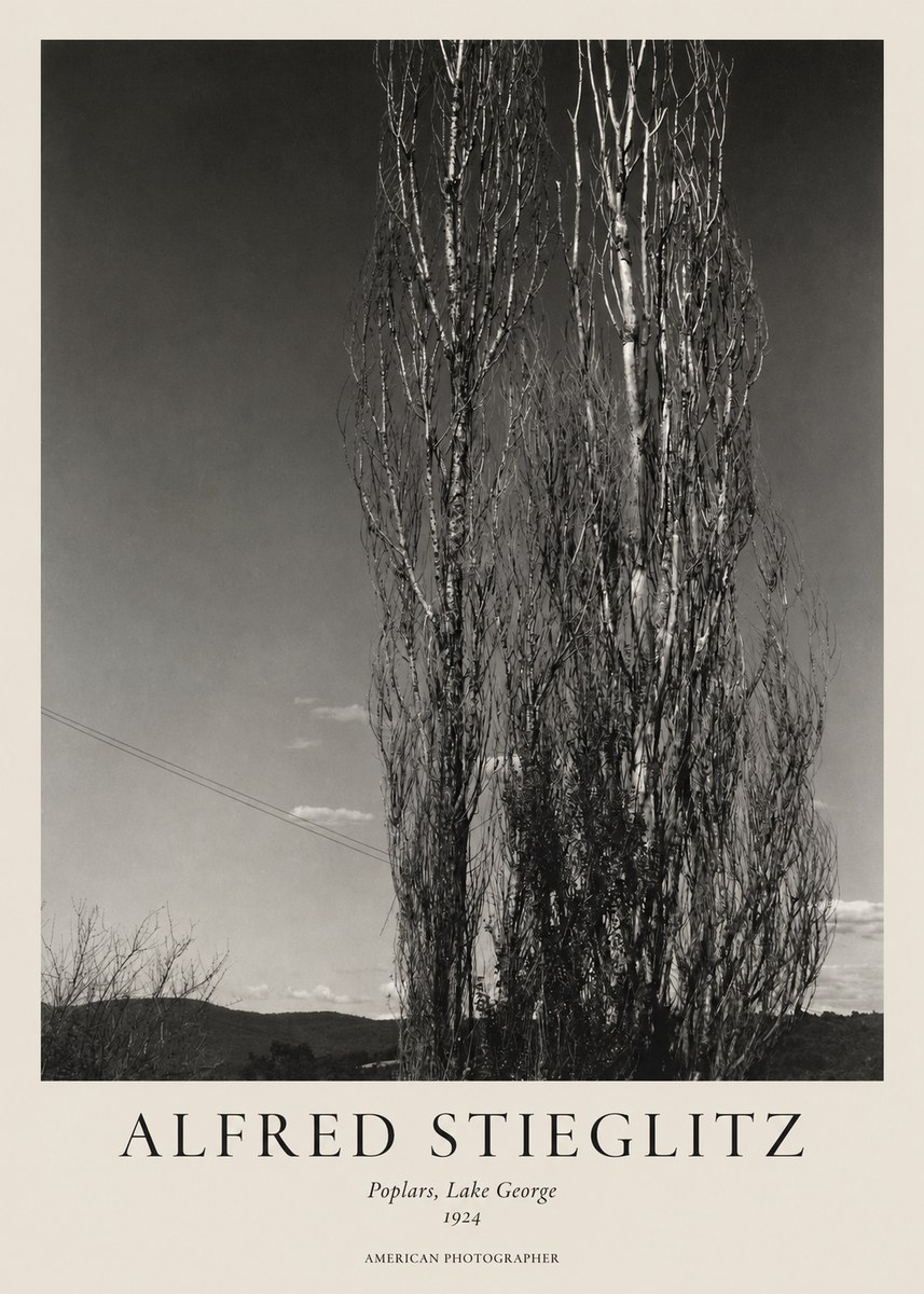 Alfred Stieglitz Trees - Lake George, 1921 No2 - Plakát