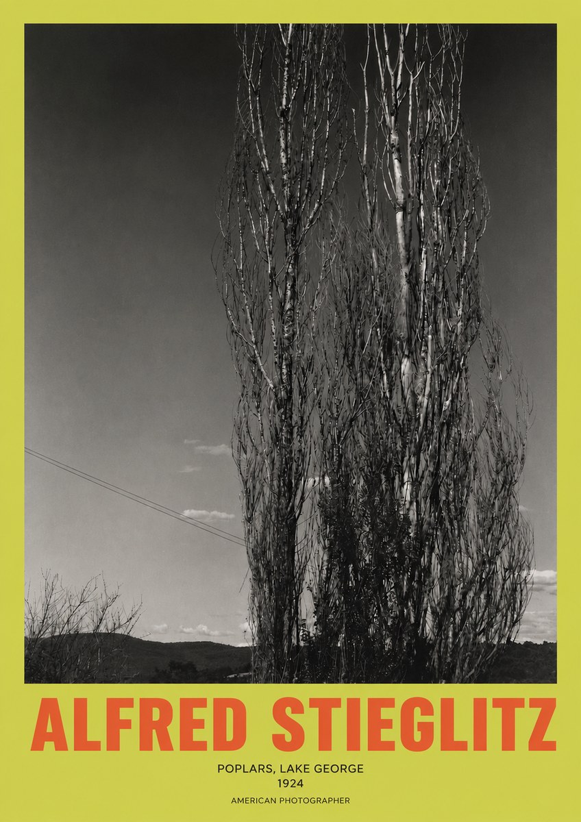 Alfred Stieglitz Trees - Lake George, 1921 No3 - Plakát
