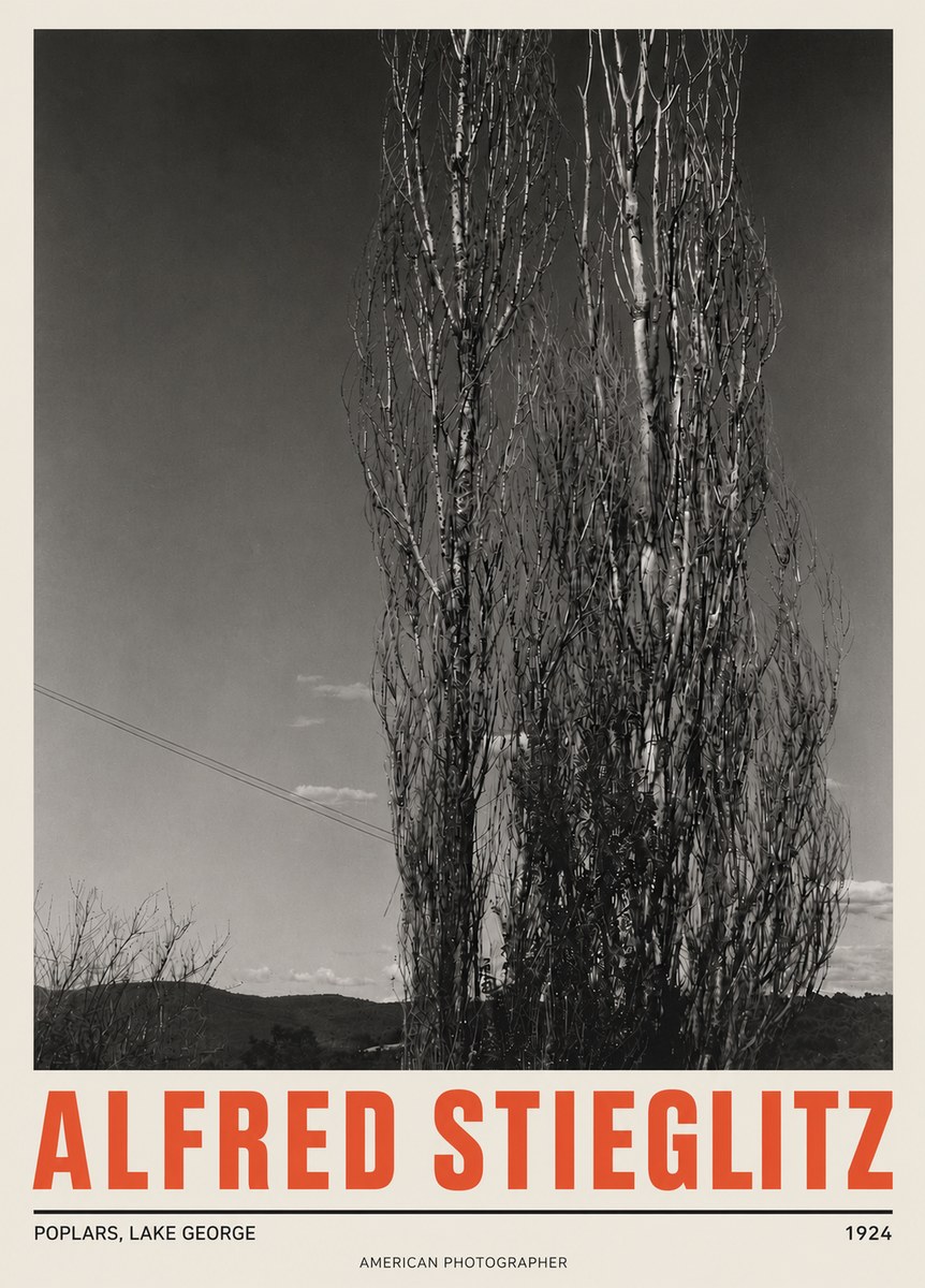 Alfred Stieglitz Trees - Lake George, 1921 No5 - Plakát
