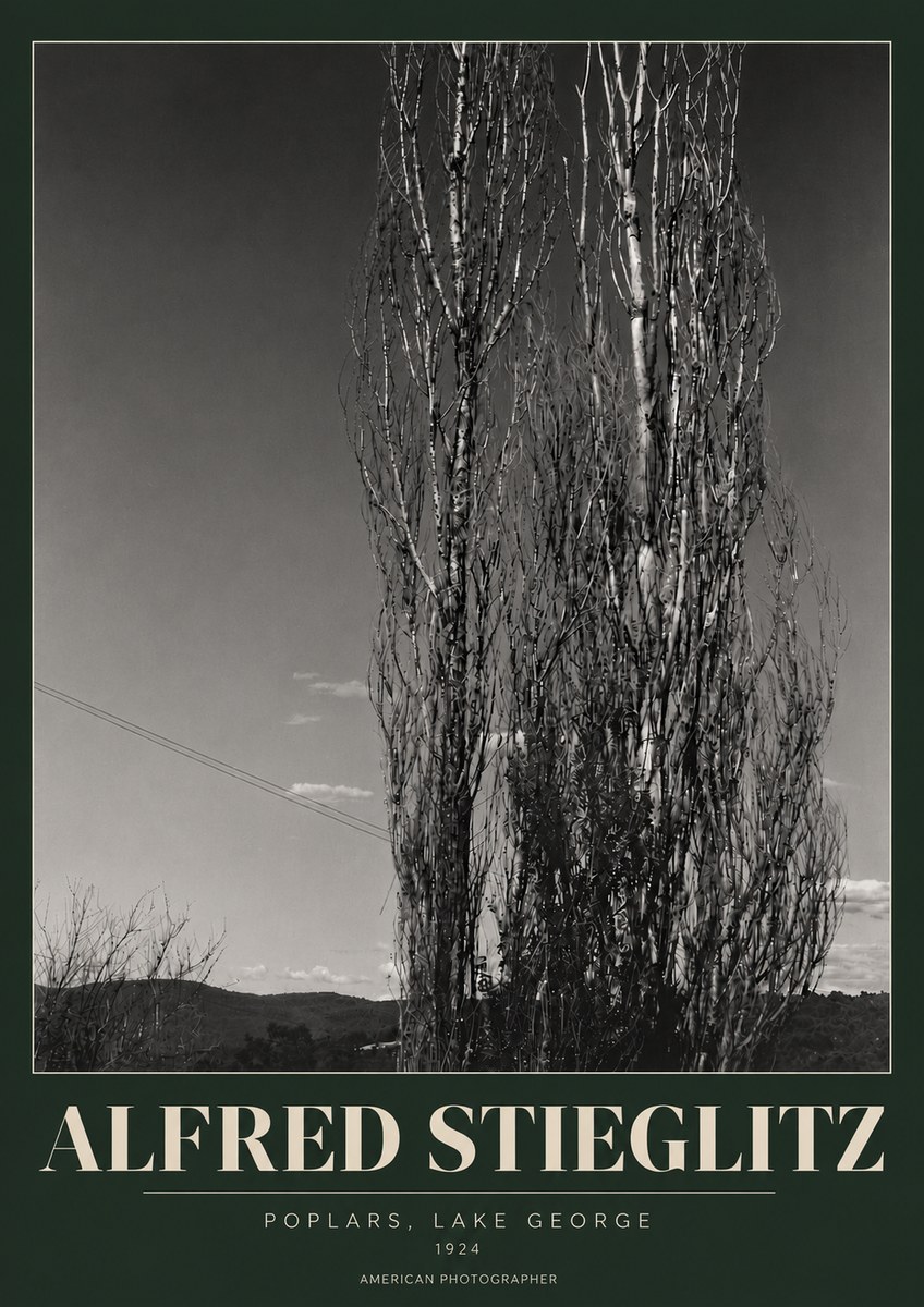 Alfred Stieglitz Trees - Lake George, 1921 No6 - Plakát