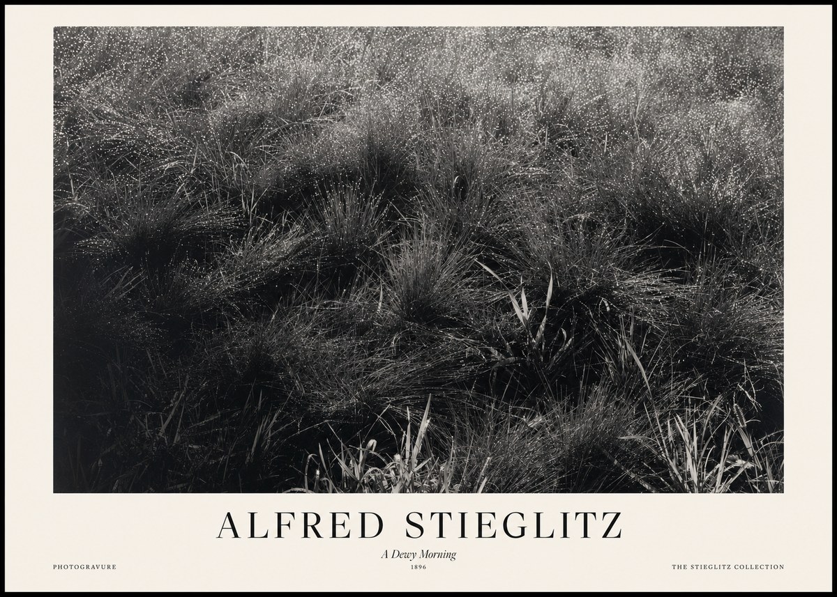 Alfred Stieglitz A Dewy Morning No1 - Plakát