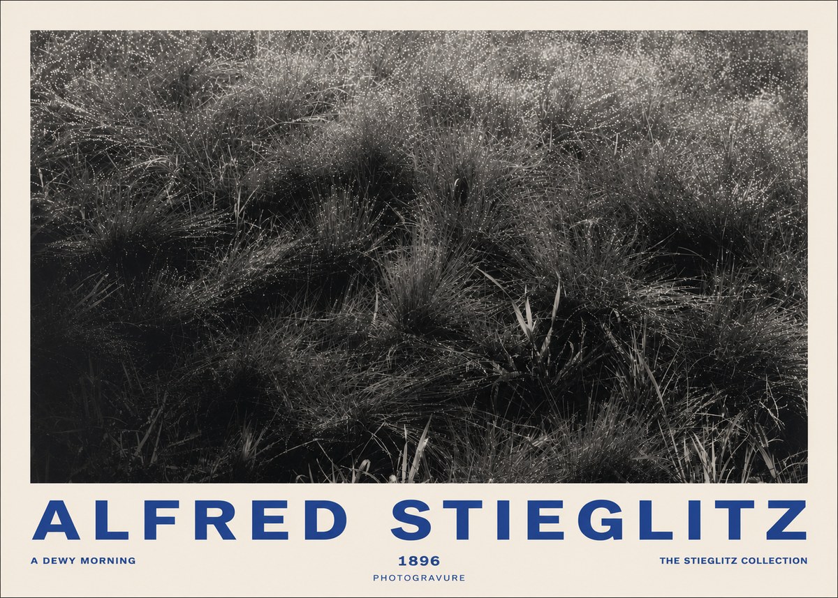 Alfred Stieglitz A Dewy Morning No2 - Plakát