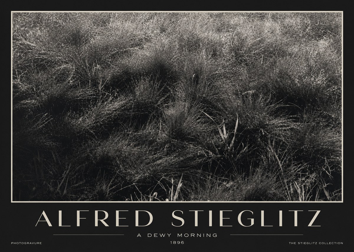 Alfred Stieglitz A Dewy Morning No3 - Plakát