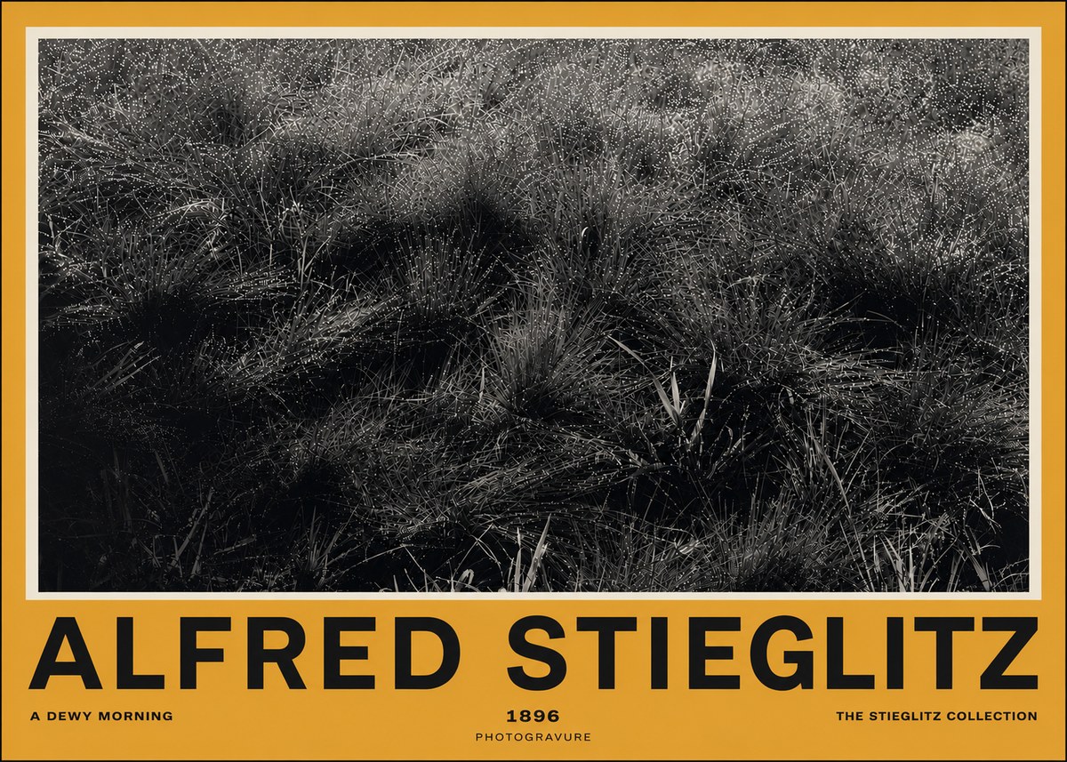 Alfred Stieglitz A Dewy Morning No4 - Plakát