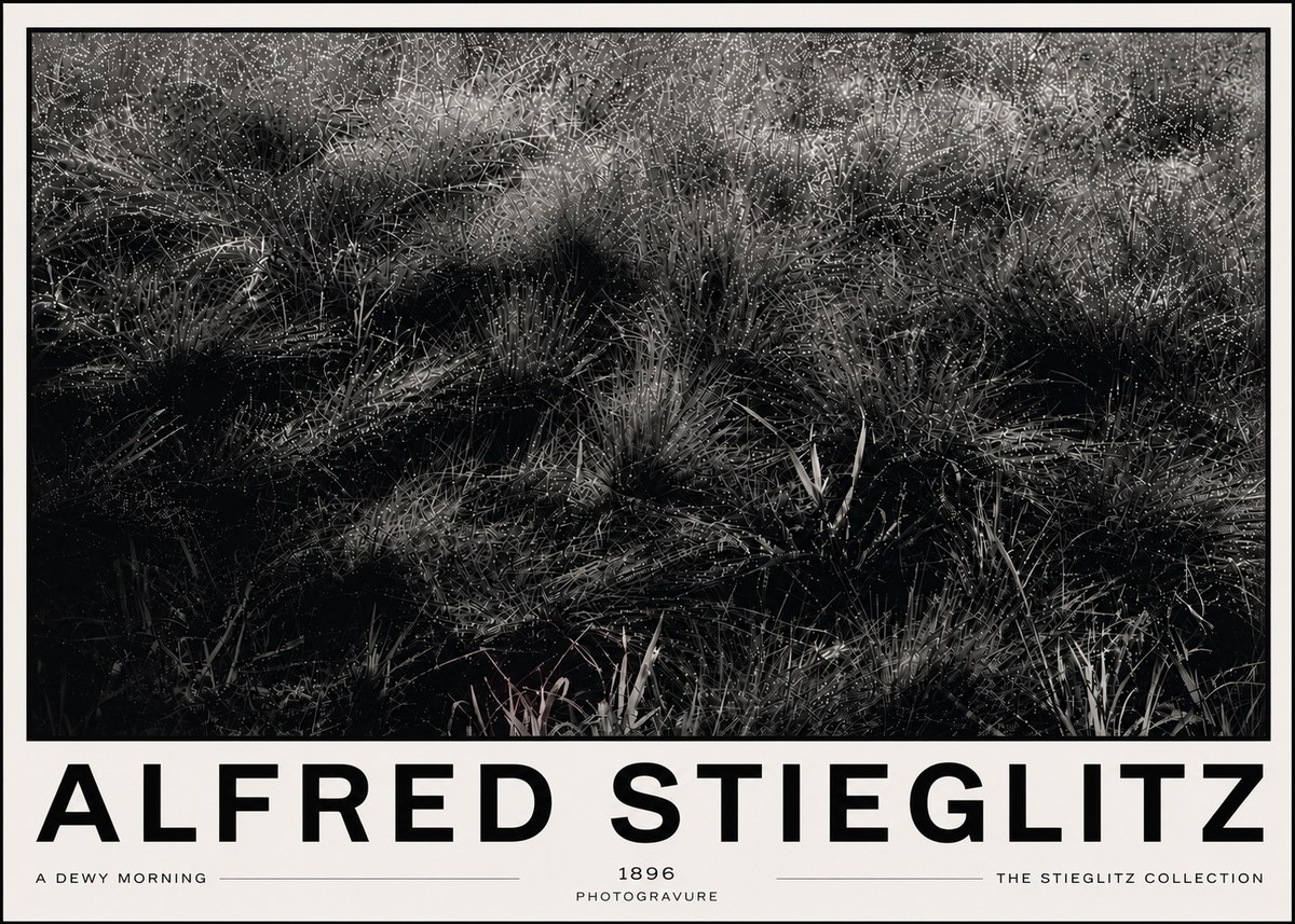 Alfred Stieglitz A Dewy Morning No6 - Plakát