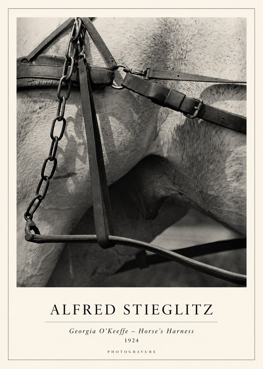 Alfred Stieglitz The Steerage I No2 - Plakát