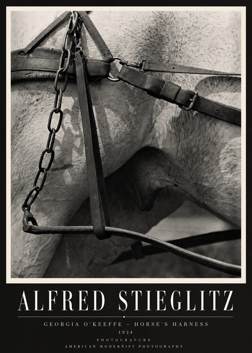 Alfred Stieglitz The Steerage I No4 - Plakát
