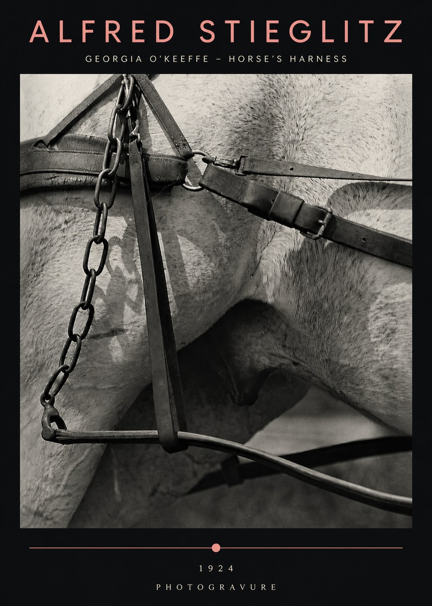 Alfred Stieglitz The Steerage I No5 - Plakát