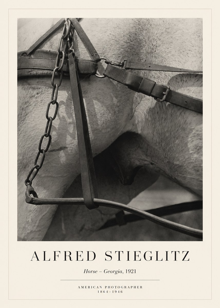 Alfred Stieglitz The Steerage I No6 - Plakát