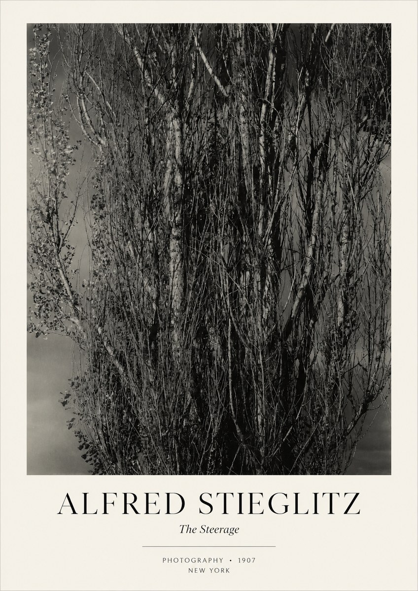 Alfred Stieglitz The Steerage II No3 - Plakát