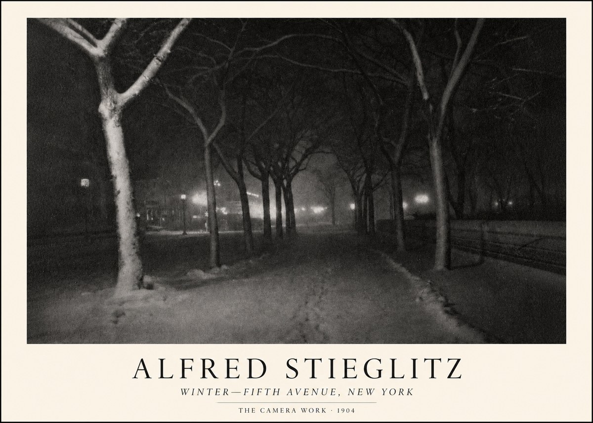 Alfred Stieglitz Winter—fifth Avenue, New York No1 - Plakát