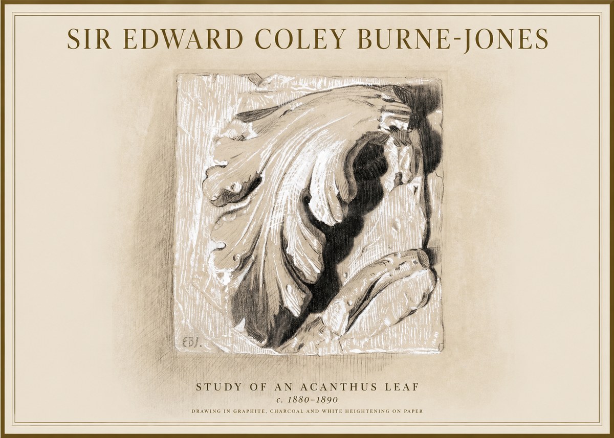 Edward Burne-Jones Study of an Acanthus Leaf No1 - Plakát