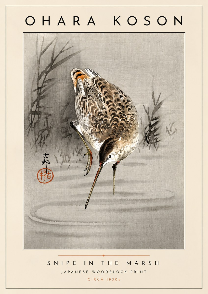 Ohara Koson Snipe in the Marsh No4 - Plakát