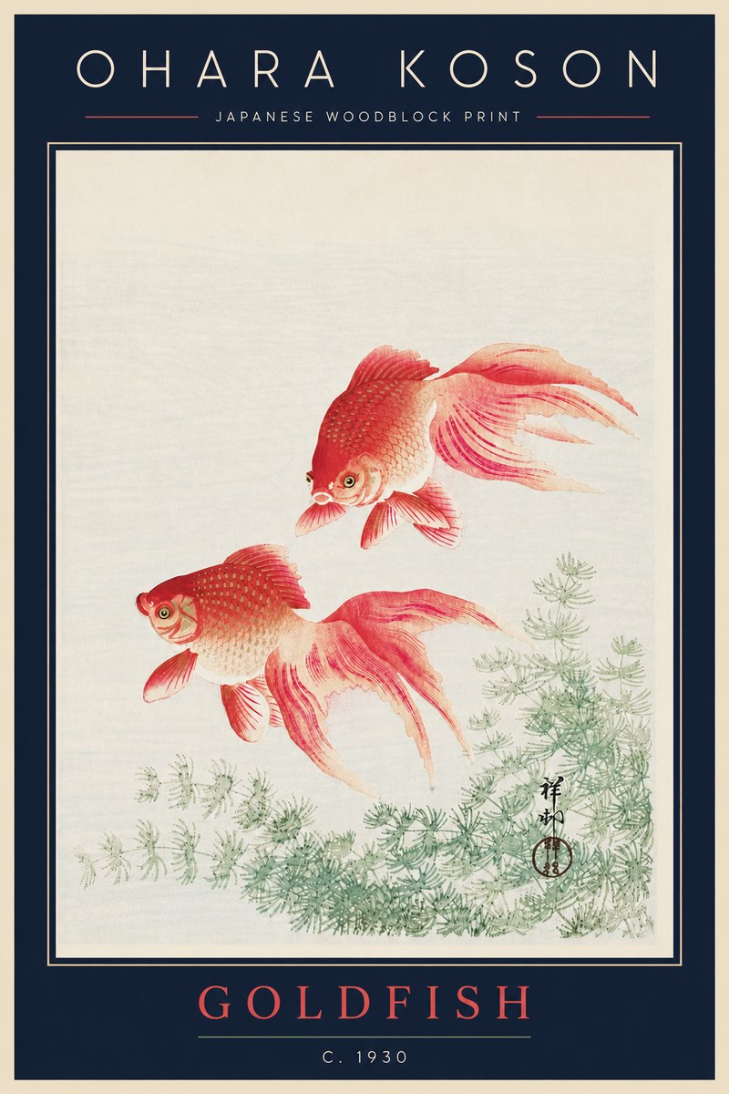 Ohara Koson Goldfish No5 - Plakát