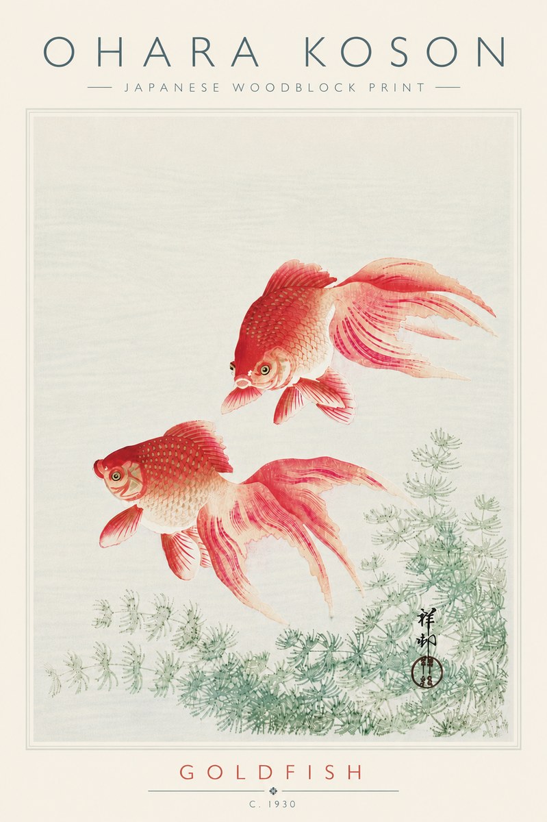 Ohara Koson Goldfish No6 - Plakát