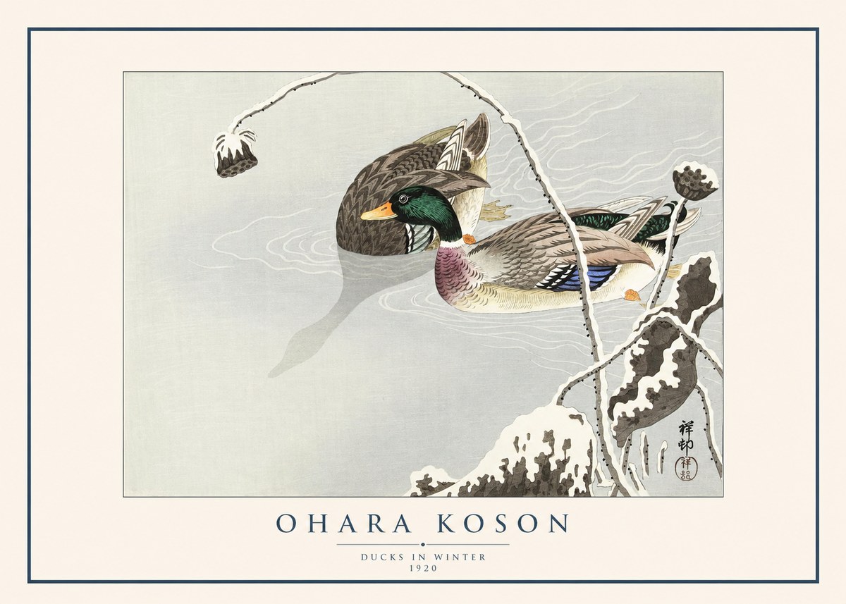Ohara Koson Ducks in Winter No1 - Plakát