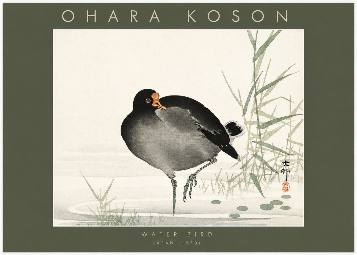 Ohara Koson Water Bird No2 - Plakát