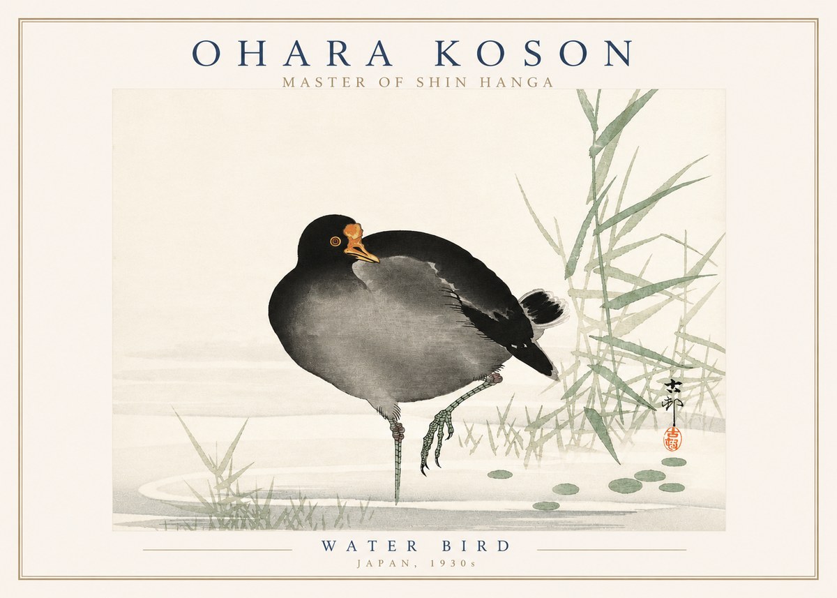 Ohara Koson Water Bird No3 - Plakát