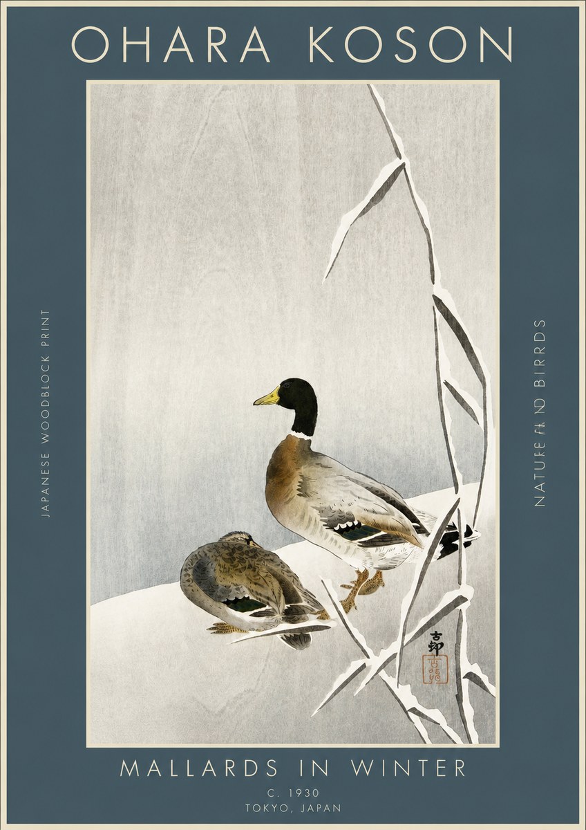 Ohara Koson Mallards in Winter No3 - Plakát