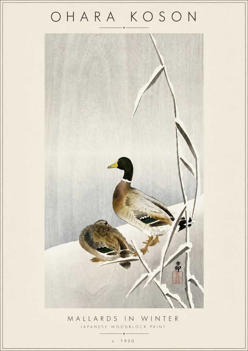 Ohara Koson Mallards in Winter No4 - Plakát