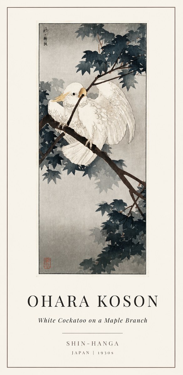 Ohara Koson White Cockatoo on a Maple Branch No1 - Plakát