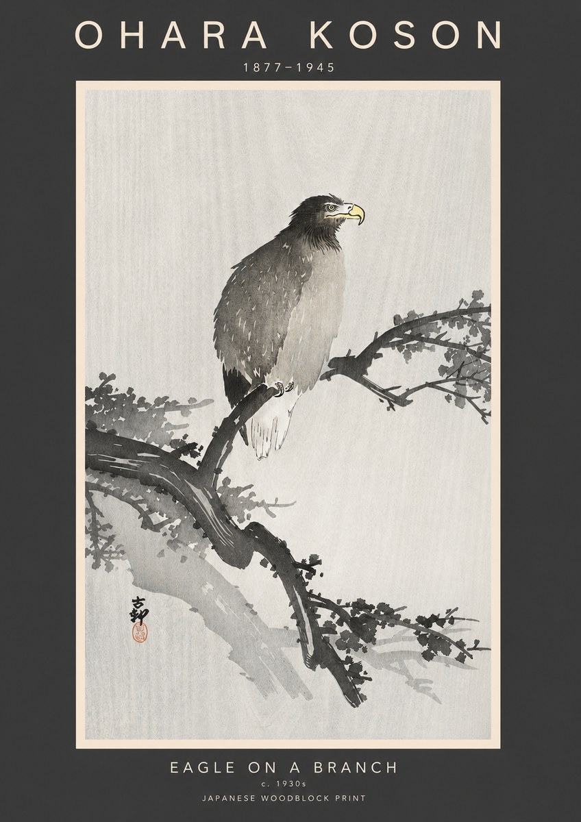Ohara Koson Eagle on a Branch I No3 - Plakát