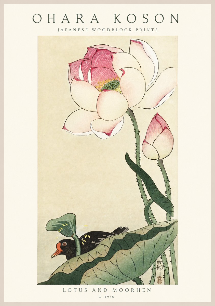 Ohara Koson Lotus and Moorhen No1 - Plakát